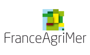Restructuration du vignoble : lancement du PCR 6