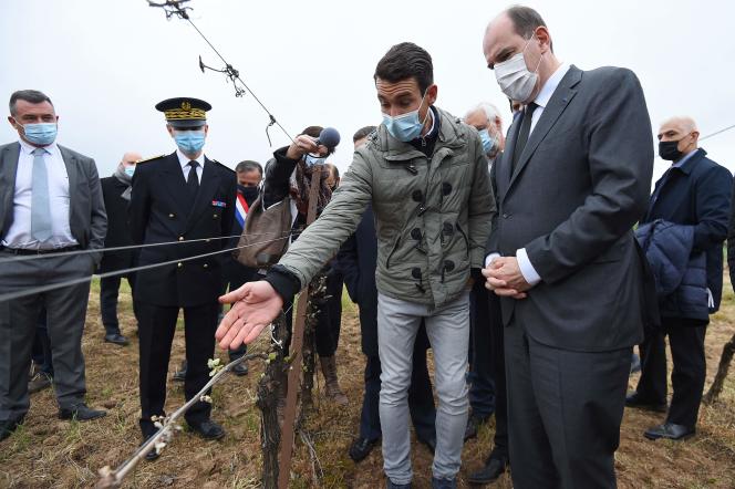 GEL DANS LE VIGNOBLE : LA PROFESSION SALUE LES ANNONCES DU PREMIER MINISTRE MAIS RESTE MOBILISEE