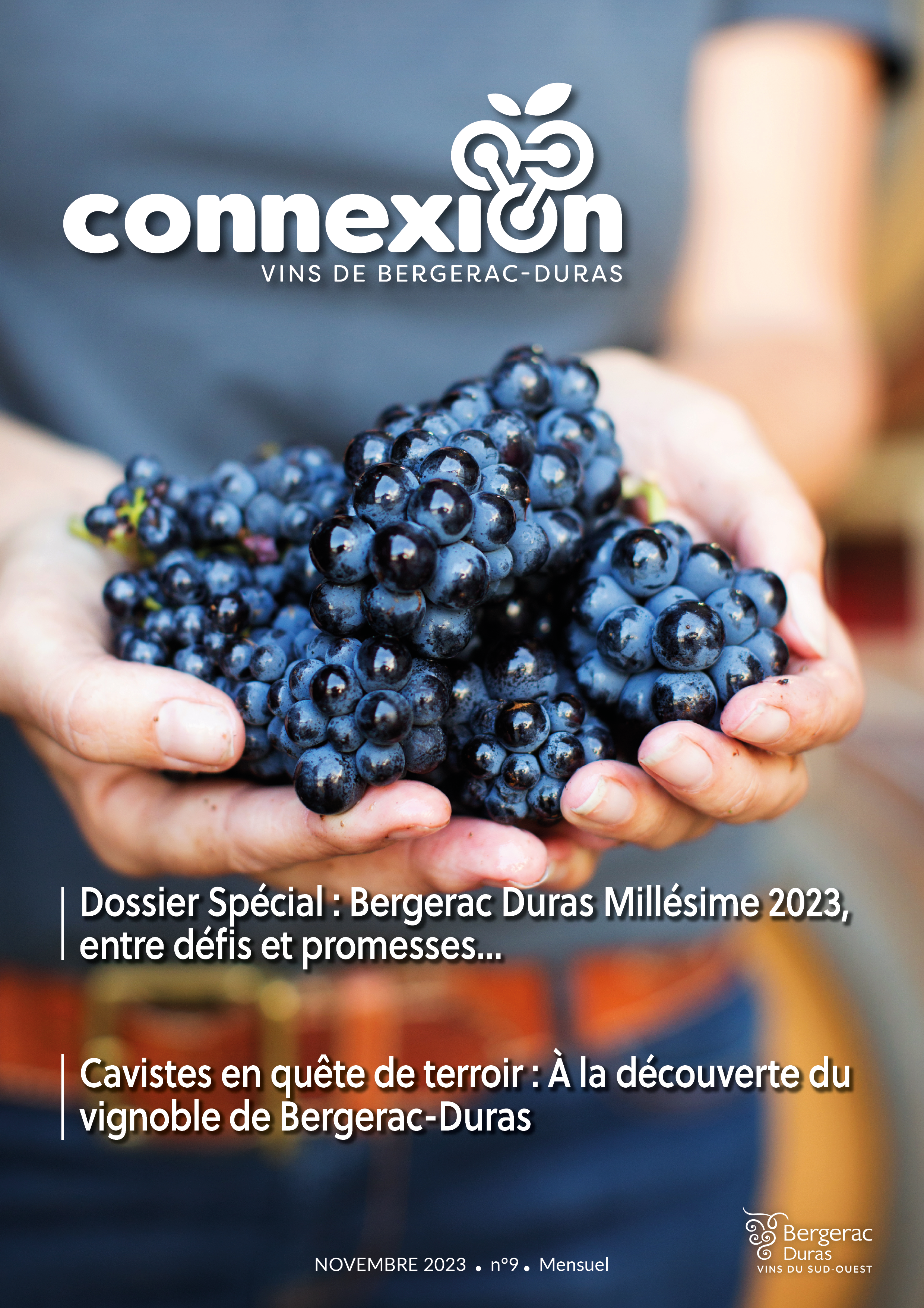 Connexion de novembre