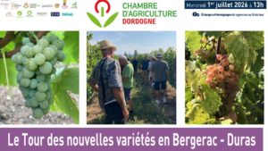 Tour des nouvelles variétés en Bergerac-Duras le 1er juillet