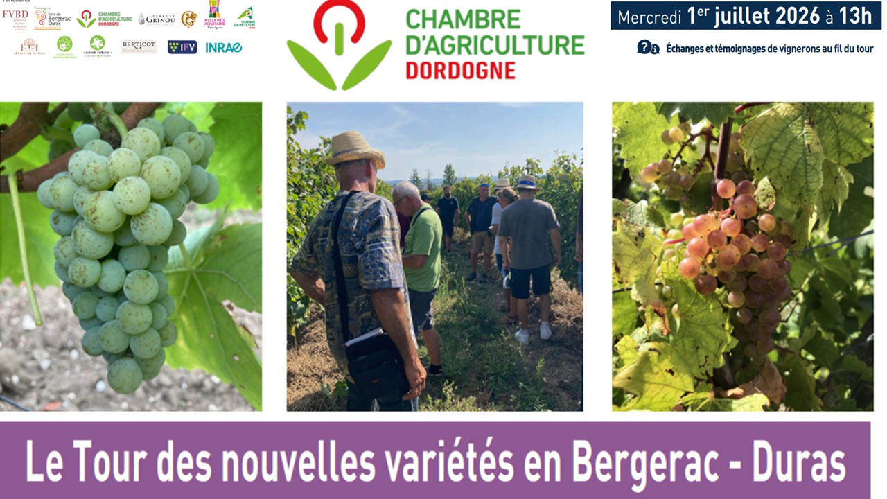 Tour des nouvelles variétés en Bergerac-Duras le 1er juillet Tour des nouvelles variétés en Bergerac-Duras le 1er juillet